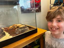 Relieving constipation in bearded dragons with warm baths