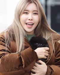 Apakah berkencan dengan iu, wendy red velvet, jihyo twice dan suran? Biodata Profil Fakta Unik Dan Menarik Suran Dailysia