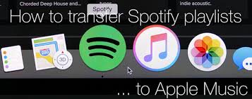 Transfer Music Playlists From Spotify To Apple Music App