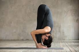 Soak in an atmosphere of utmost commitment and sanctity. Unfold 7 Classical Hatha Yoga Poses For Beginners