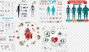 Internal organs of the human body laminated anatomical chart. Human Body Organ Chart Human Body Data Analysis Material Text Heart People Png Pngwing