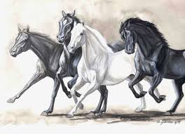 Sentir Despues De Escuchar Wild Horses Alicia Keys With Adam Levine Solveig Slettahjell Charlotte Martin