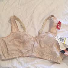 42c Olga Nude Bra No Underwire Nwt Nwt