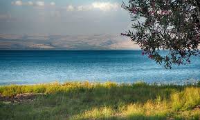 If you search the forum for snapir, you will find scores of positive reviews. Israel Prepaid Sim Cards Nes Mobile Israel Sim Cards Pocket Wifi