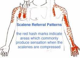 Connections Between Singing Breathing And A Strange Group Of Muscles Singing Breathe Massage Techniques