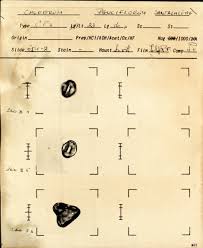 Image result for Elatostema paivaeanum