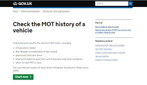Check-The-Mot-History | Little Belters