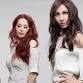 Zepparella