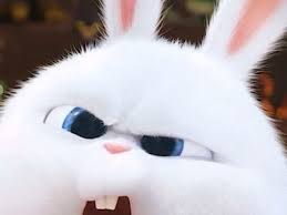  Izzati Tajuddin Saripuddinnuraini89 Profil Pinterest