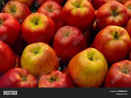 Use them in commercial designs under lifetime, perpetual & worldwide rights. Apple Scatter Image Photo Free Trial Bigstock