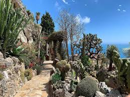 Pascal Du Sud Sur Instagram Monaco Principautedemonaco Jardinexotique Monaco Montecarlo Instagram Monaco Monte Carlo