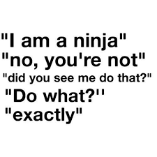 Conversation Funny Ninja Quote Saying Inspiring Picture On Favim Com Funny Quotes Quotes Me Quotes