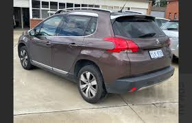 Image result for Brun Guaranja 2014 Peugeot