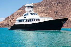 Image result for Verde Night 1982 Fleet