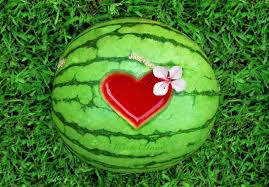 Image result for watermelon photography