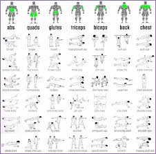 Back muscle diagram human body, back muscle diagram pain, back muscle groups diagram, back muscle workout diagram, lower back muscle chart. Bodybuilding Exercises Pictures Pdf