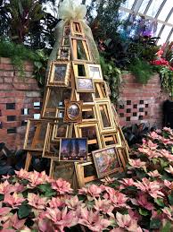 Check spelling or type a new query. Flower And Light Show At Phipps In Pittsburgh Robin O Neal Smith