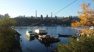 Najnovije vesti vezane za temu čukarički rukavac. Cukaricki Rukavac Beograd Gde Na Pecanje