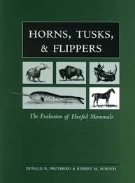 Between the combination of the anatomy and absolutely wonderful conditions, the shape is supposed to look like. Horns Tusks And Flippers The Evolution Of Hoofed Mammals By Ghaier Kazmi Issuu