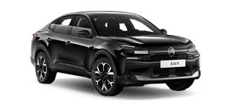 Image result for Noir Perla Nera 2011 Citroen