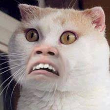 Nguyen Raphael (@nguyen.raphael.169) • Facebook, Connect with friends