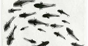 Black And White Illusion Rug This Is A Rug This Is Suppose To Look Like Fish Swimming In Water Forget The Rug I Would Love To Try This On A Quilt Illusions Optical Illusions Fish Rug
