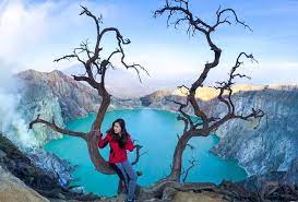 We did not find results for: Kawah Ijen Si Api Biru Yang Tidak Boleh Terlewatkan