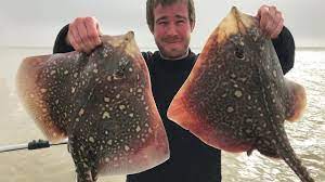 Catch, Clean & Cook Skate! - Youtube