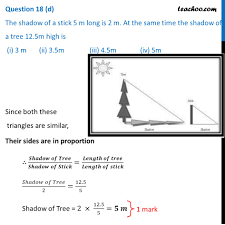 We have experienced writers in over 70+ disciplines for whom english is a native language and will easily prepare a paper according to your requirements. Case Based Mq A Scale Drawing Of An Object Is The Same Shape As The