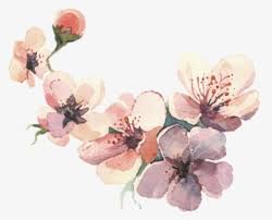 Free Free 172 Flower Svg Sketch SVG PNG EPS DXF File