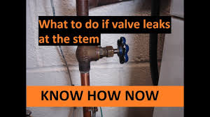 The water was turned off at the street so when i took a wrench to remove the valve to replace it with a new one it's not coming off. Fix Shut Off Valve Leaking At Stem Youtube
