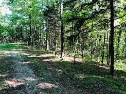 4352 star point rd is in byrdstown, tn and in zip code 38549. Seminole Rd Byrdstown Tennessee 38549