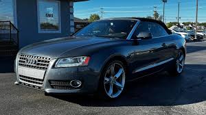 Image result for Aurum Beige 2010 A5