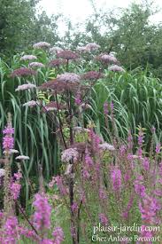 Le Jardin Pepiniere D Antoine Breuvart Plaisir Jardin Com Pepiniere Beaux Jardins Jardins