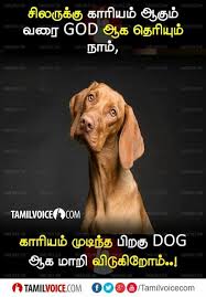 Pin On Friendship Quotes In Tamil