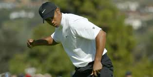 Nov 05, 2021 · 49 tiger woods trivia questions & answers : Tiger Woods History At The World Golf Championships Dell Technologies Match Play