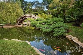 Outdoor pictures garden pictures garden landscape design garden landscaping amazing gardens beautiful gardens japanese garden plants garden waterfall. Lead The Way The Beautiful Japanese Gardens At The Huntington Library With Koi Swimming Art Print By Jamie Pham