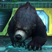 However, i am at the etherial boss at the end and i seem to not be able to kill him. Brawler S Guild Guide Battle For Azeroth Bfa World Of Warcraft Icy Veins