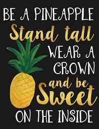 So now who's the funny guy, huh? Amazon Com Be A Pineapple Stand Tall Wear A Crown And Be Sweet On The Inside Motivational Notebook Journal And Diary For Women And Girls With Cute Quote 8 5 X 11 Large Stay Inspired