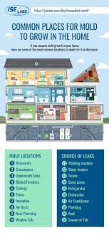 Samples are taken from the air and are later examined under a microscope. Everything You Need To Know About Household Mold