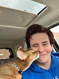 Introduction with Abyssinian cat picture and travel experiences