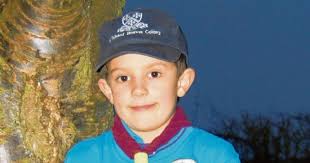 Braintree: Cubs and Beavers earn Scouting honours