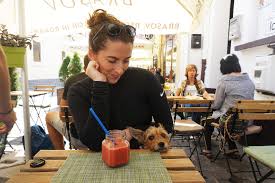 We all love our cuddly best friends and what we love also are places which welcome them in. Are Dogs Allowed In Restaurants In Europe The Ramble