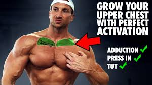 This is a table of muscles of the human anatomy. Ultimate Upper Chest Workout W The Godfather Of Bodybuilding Youtube