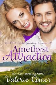 Amazon.com: Amethyst Attraction: an opposites-attract workplace romance  (Pot of Gold Geocaching Romance Book 4) eBook : Comer, Valerie: Kindle Store