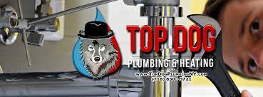 Established on the sunshine coast 12 years. Top Dog Plumbing Ny Home Facebook