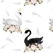 Baby Swan Clipart Black And White Pin On Art Painting