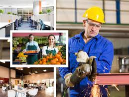 Commercial Electrician Services Waikato - Waikato / Hamilton Electrician  Services - Commercial, School & Residential Electricians