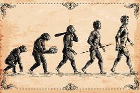 Seit wann gibt es eigentlich die zeitumstellung in deutschland? Wie Lange Gab Es Die Neandertaler Und Wie Lange Gibt Es Uns Schon Den Modernen Menschen Biologie Evolution
