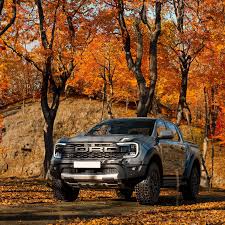 Image result for Autumn Brown 1993 SsangYong